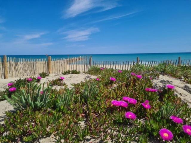 Confortable Studio cabine - accès plage- vue mer 4TVP38 Le Barcarès Exterior foto